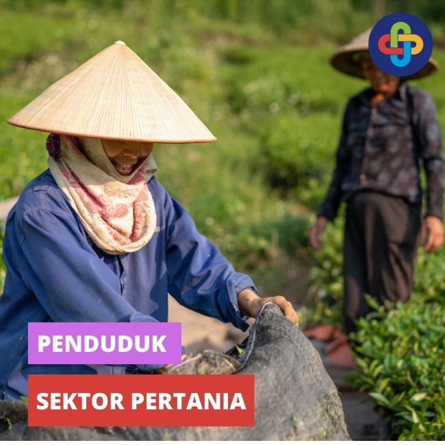 Penduduk dan Permintaan Kedelai 